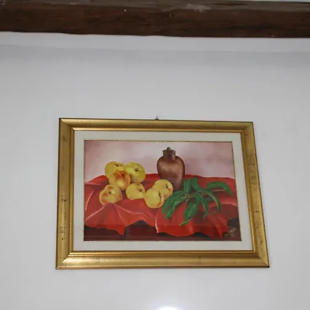 Casa de Férias Luisa's